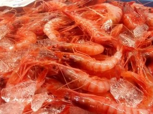 Ocho chefs finalistas competirán en Dénia con la gamba roja como protagonista