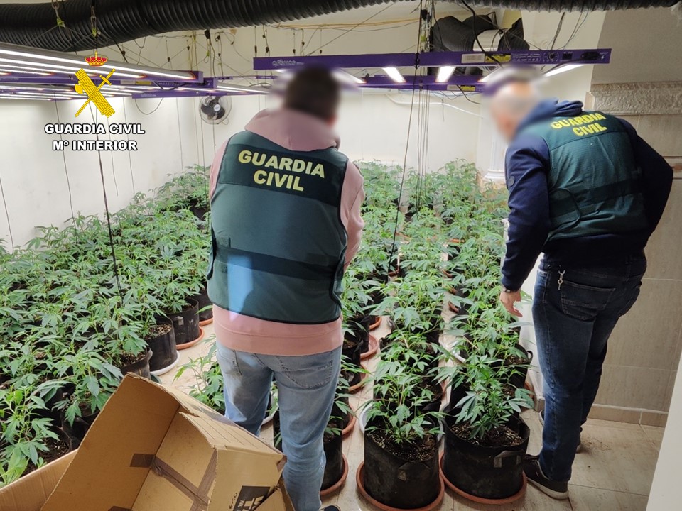Detenido un joven en Calpe por gestionar una plantación de marihuana en un chalet