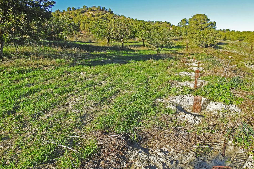 La Marina Alta impulsa el relevo generacional en la agricultura con el proyecto Jove Agricultor