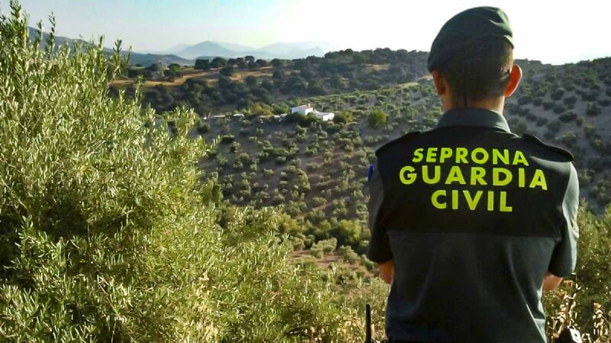 Juicio por las 292 casas ilegales en Llíber: el Seprona confirma la construcción en suelo rústico y el hallazgo de 2,4 millones en Andorra