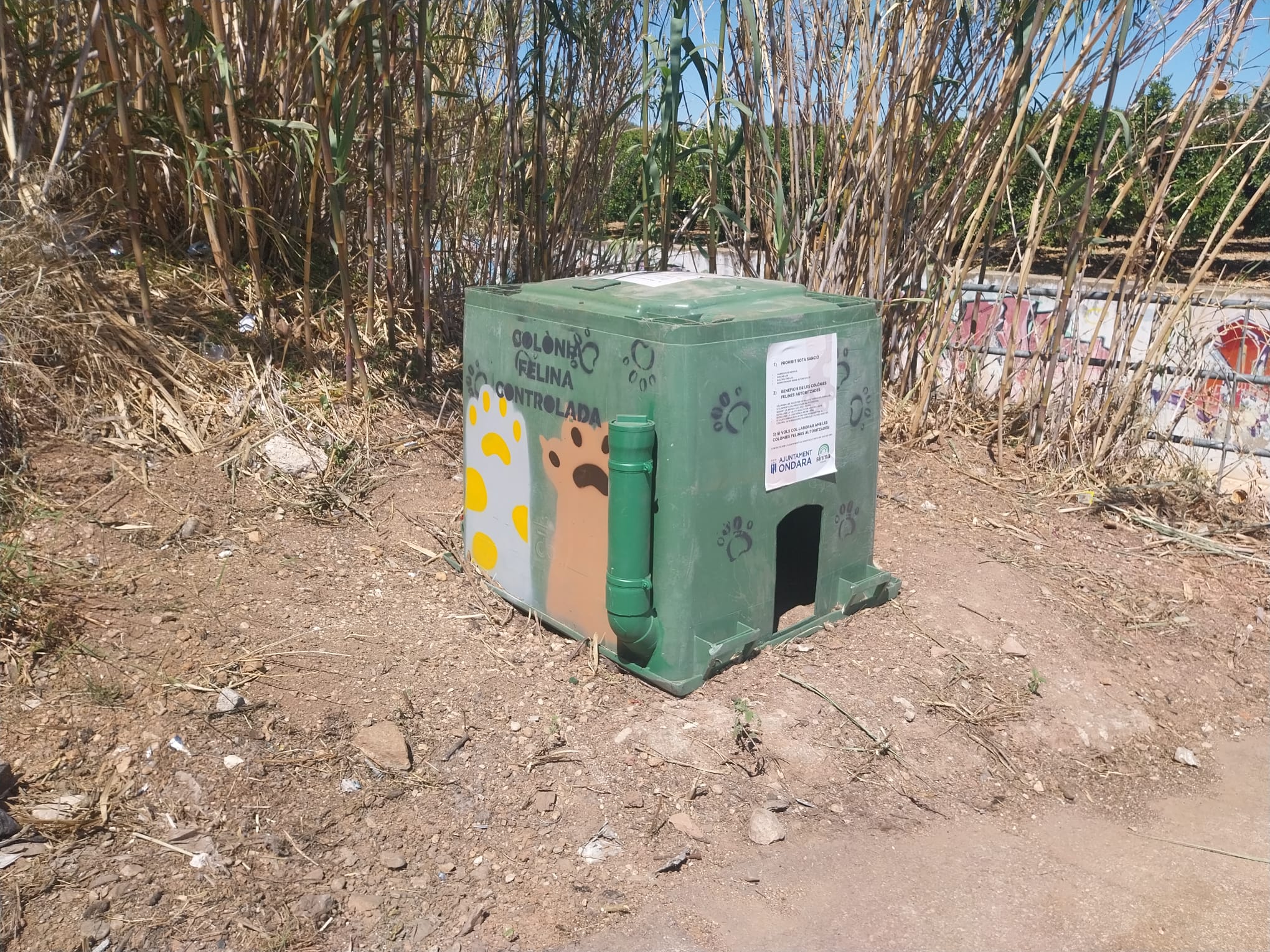 Ondara regula la alimentación de los gatos callejeros y limita las zonas autorizadas