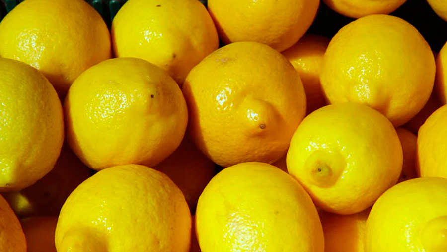 El desplome del limón turco abre una ventana de oportunidad para los citricultores españoles