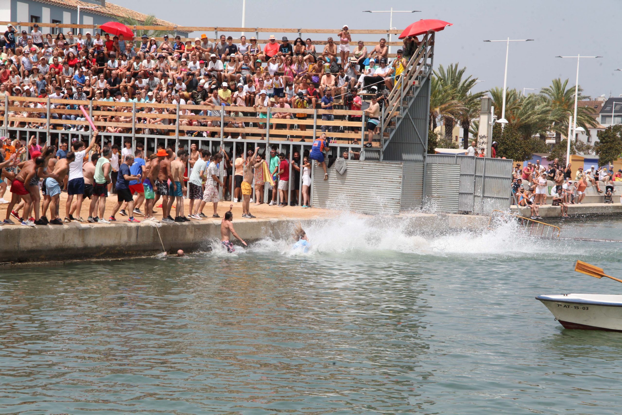 El PACMA acusa al ayuntamiento de Dénia de fomentar la crueldad animal entre los menores