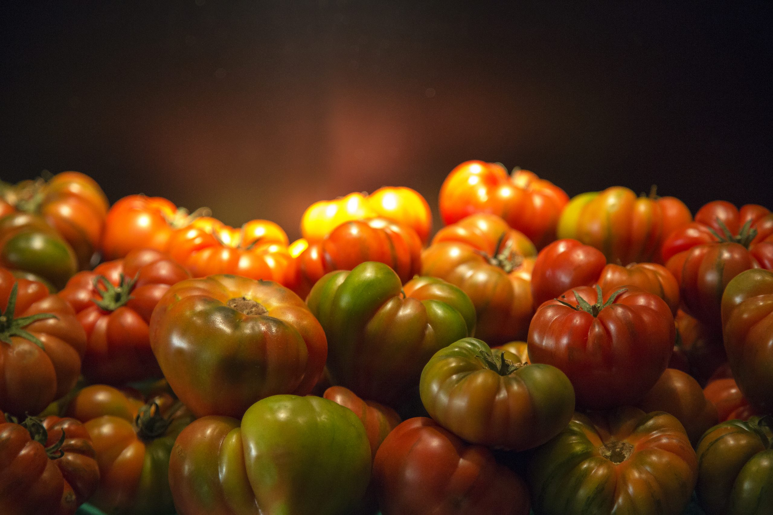 El tomate, rey del verano y guardián del sabor tradicional
