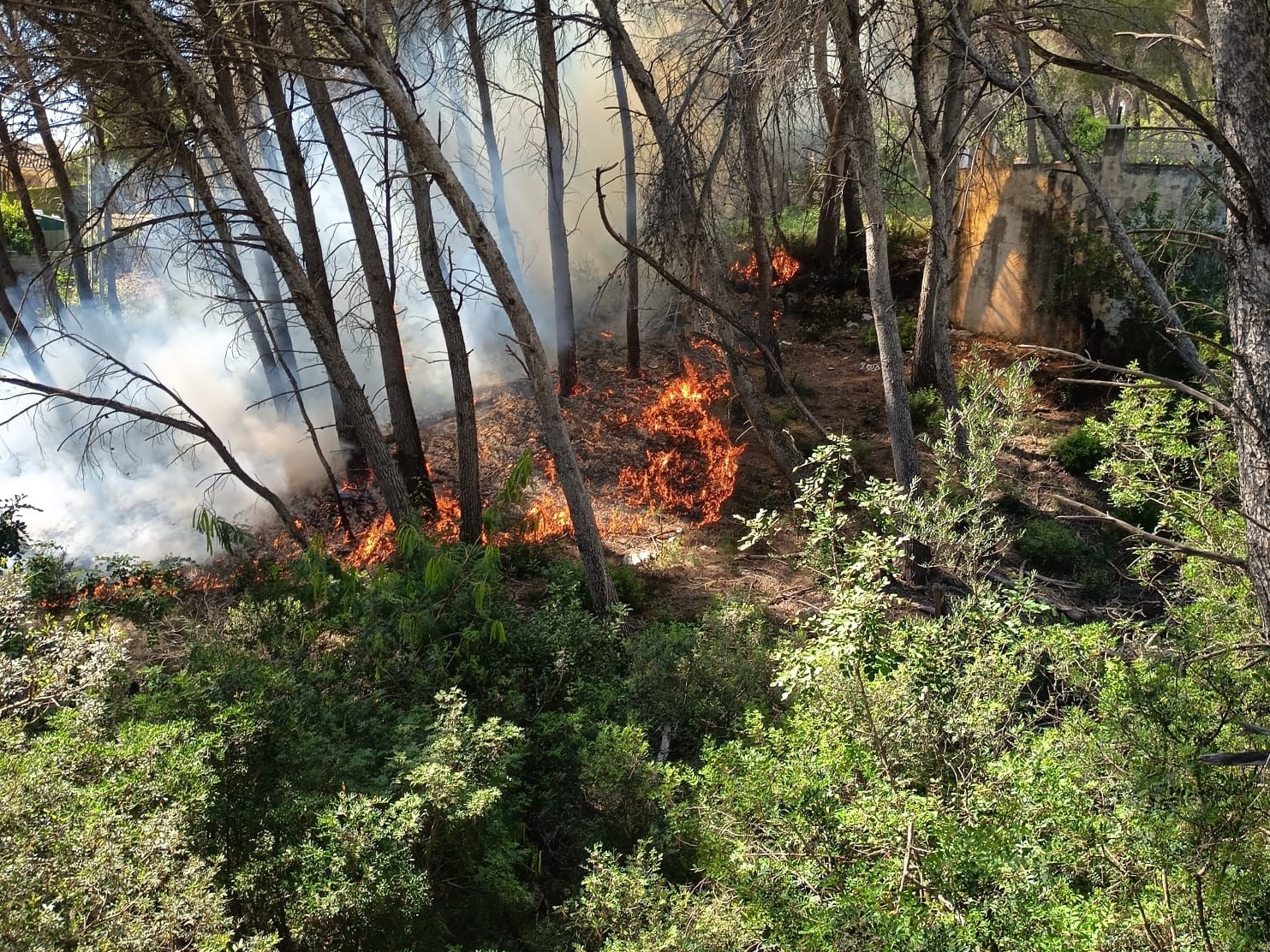 Extinguido un incendio en la falda del Montgó que obliga a desalojar dos viviendas en Xàbia