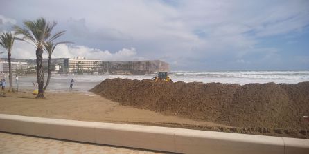 Xàbia aplaza los actos del 9 d’Octubre por la llegada de la DANA Alice