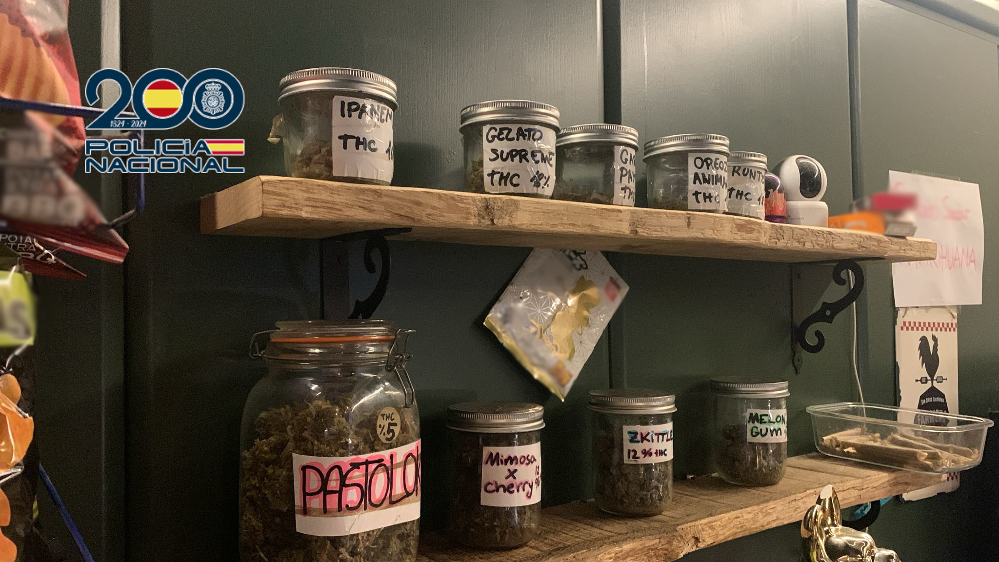 Desmantelada en Dénia una asociación cannábica que vendía marihuana y hachís de forma ilegal