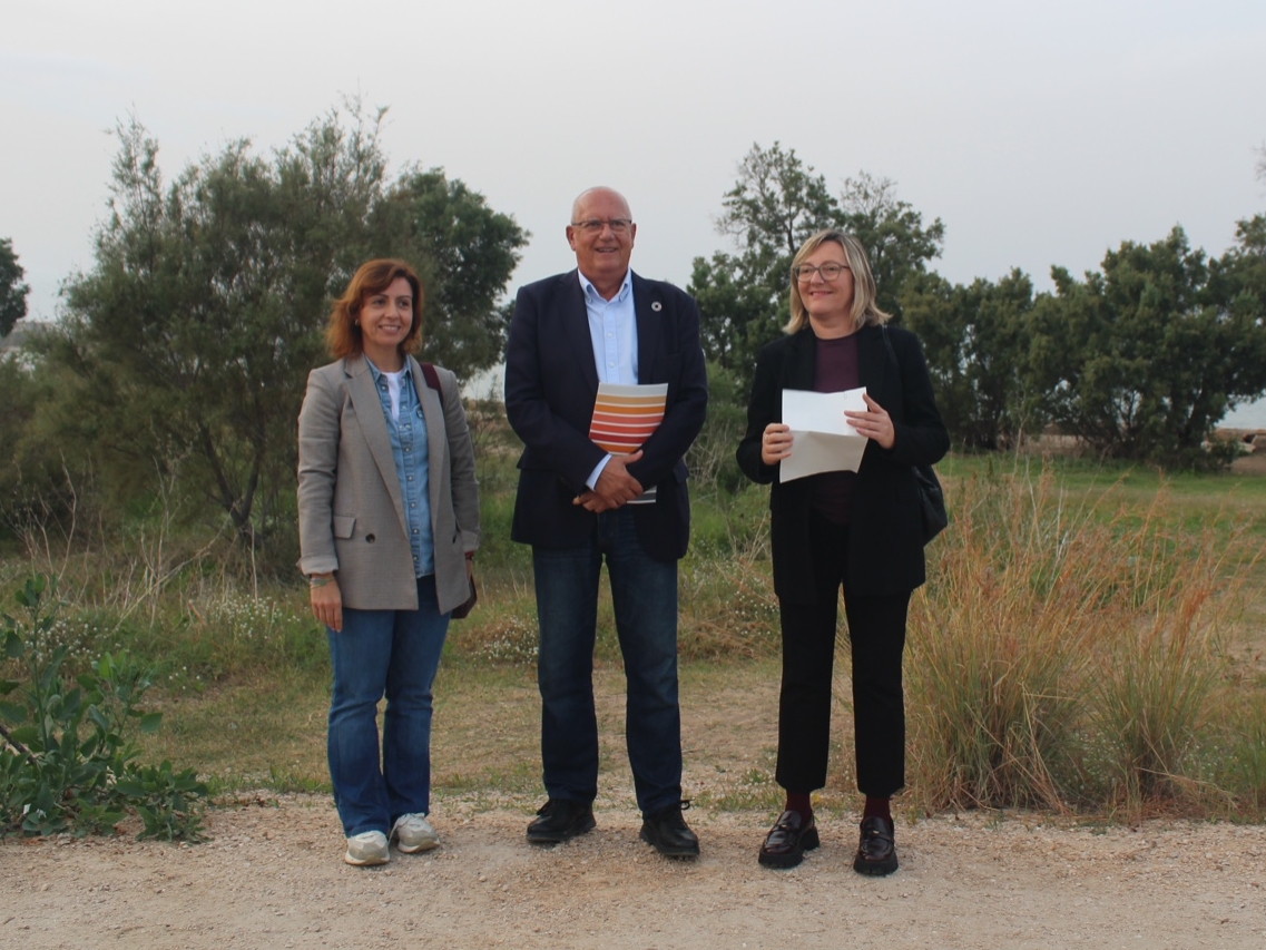 El PSPV exige en Les Corts la paralización del ‘beach club’ proyectado en el puerto de Dénia