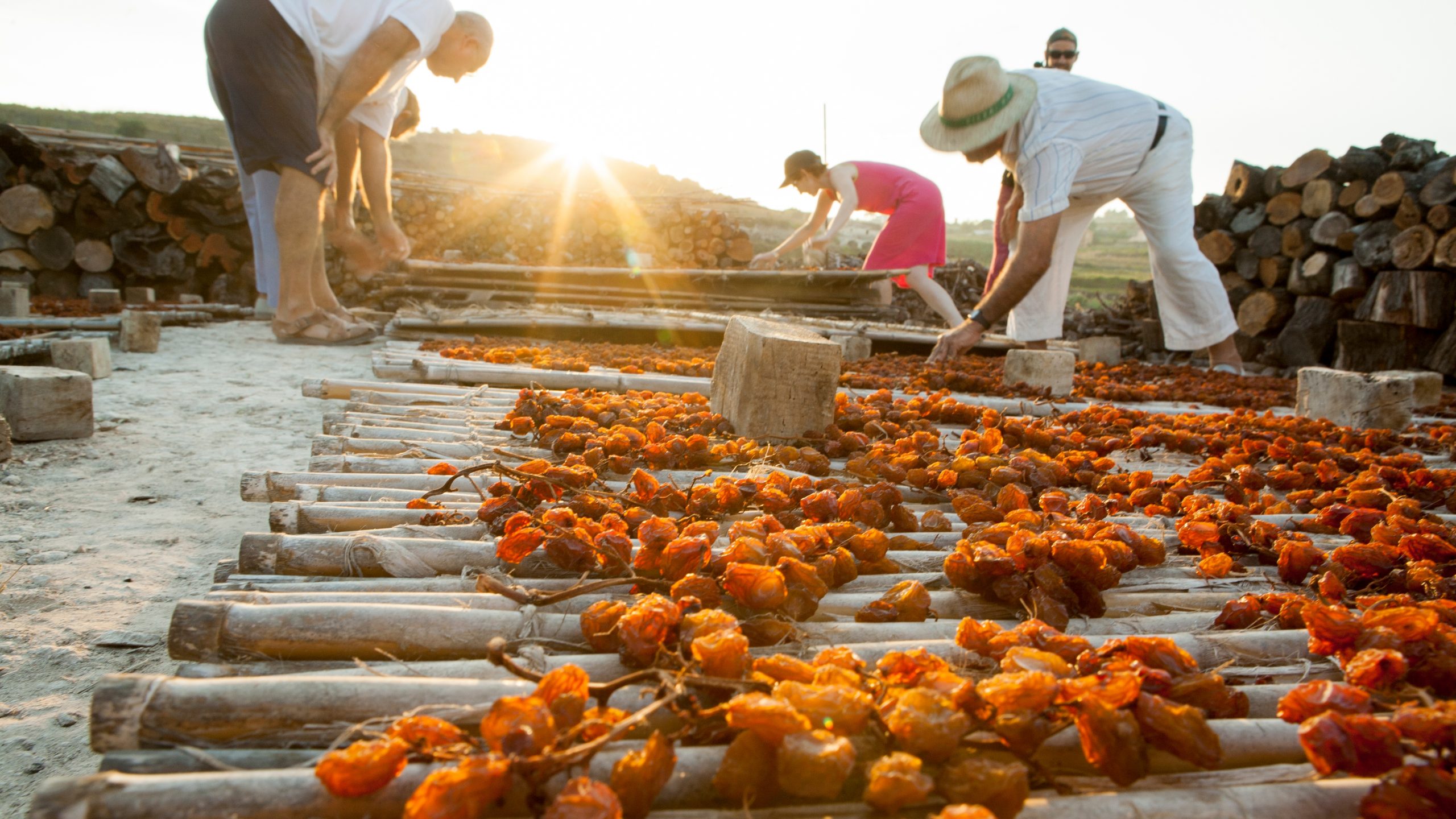 Dénia celebra diez años como Ciudad Creativa de la Gastronomía de la UNESCO con una gran fiesta
