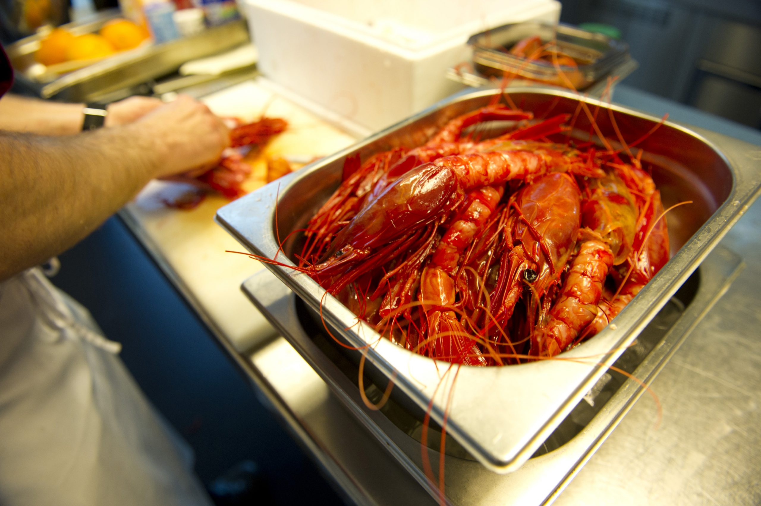 Dénia acoge la XIV edición del Concurso Internacional de Cocina Creativa de la Gamba Roja en el Mercat Municipal