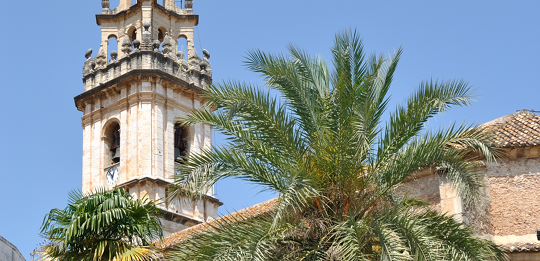 Los termómetros llegan a primera hora a 18º en Pego