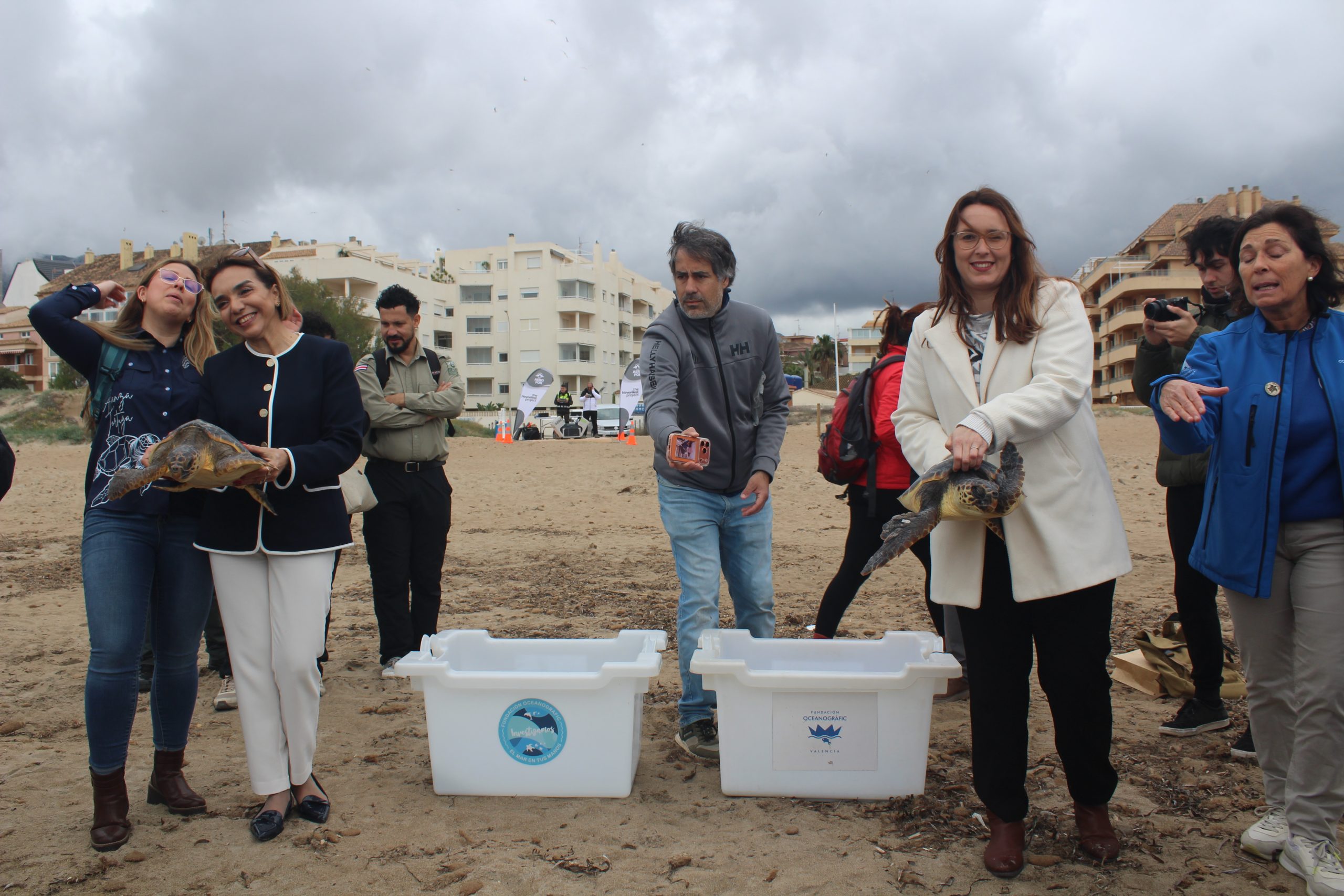 Dénia firma la “Alianza Tortuga” con Costa Rica para proteger las tortugas marinas que llegan a sus playas