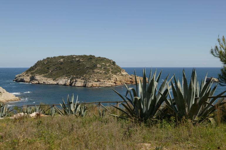 Xàbia convierte el arte, la divulgación y la naturaleza en ejes de su III Semana del Medio Ambiente