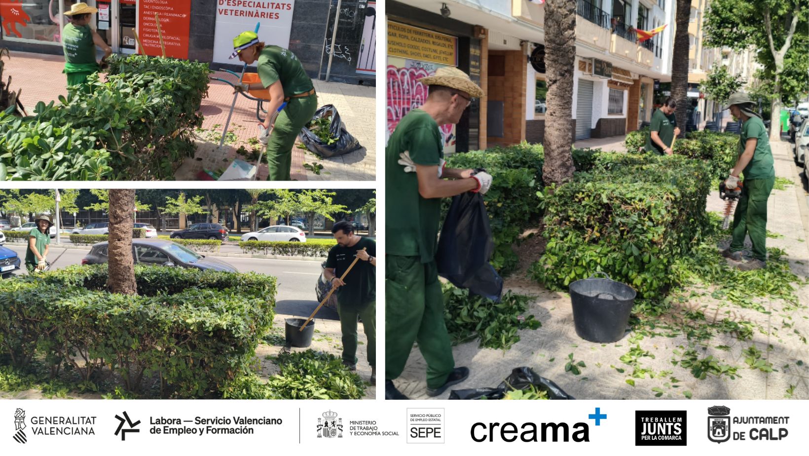 El alumnado de Jardinería del Taller de Empleo Marina Alta XV realiza prácticas en los parques de Calp